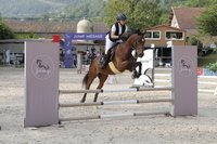 LA FINALE !!! Les 8 & 9 juin au Club Hippique des 4 Fers